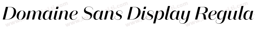 Domaine Sans Display Regula字体转换